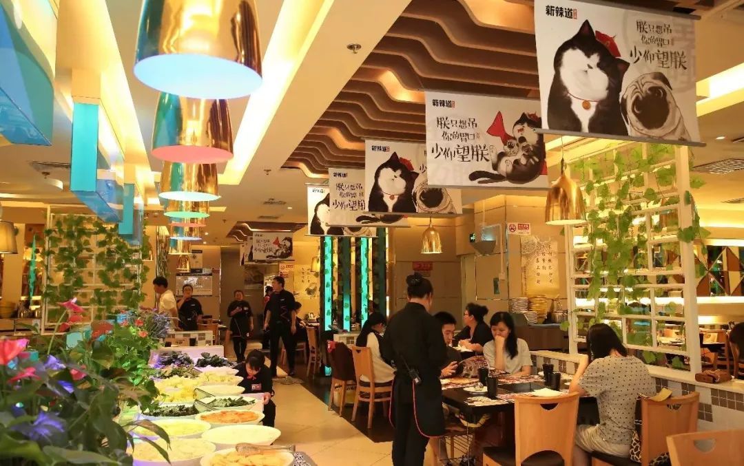 餐饮跨界转型，传统与网红的碰撞解析